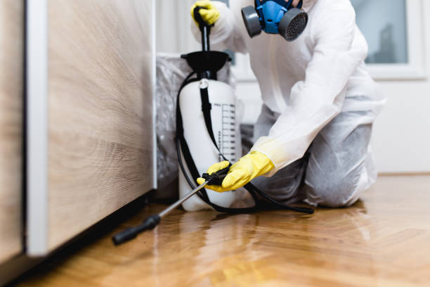 Wasp Removal Services in White Hall, WV