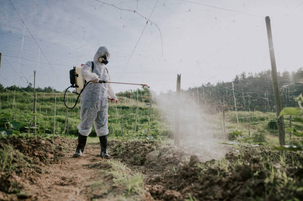 Professional Pest Control in White Hall, WV