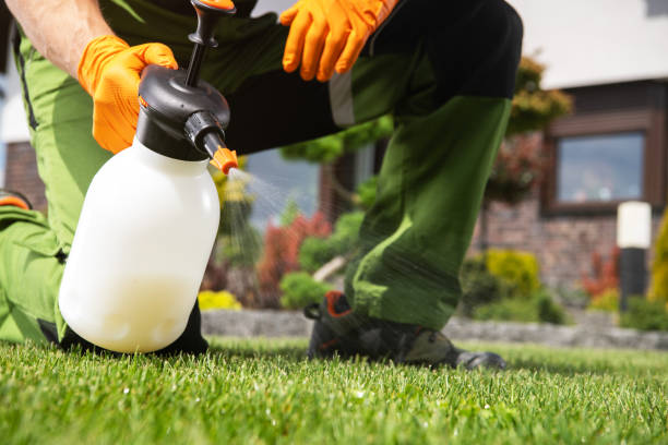 Best Local Pest Control Services  in White Hall, WV