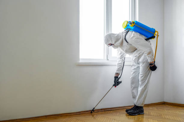 Best Residential Pest Control  in White Hall, WV