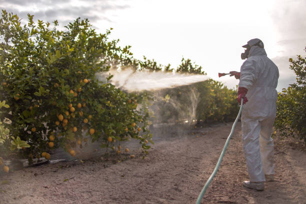 Best Pest Prevention Services  in White Hall, WV