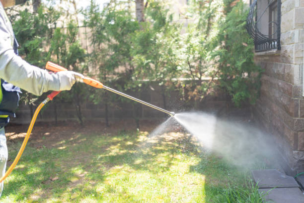 Best Residential Pest Control  in White Hall, WV