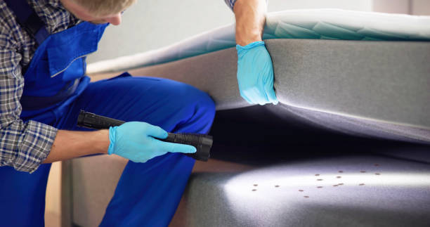 Best Exterminator Services  in White Hall, WV