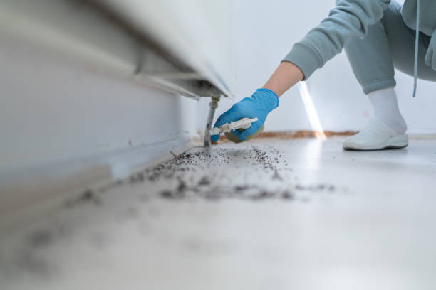 Best Emergency Pest Control  in White Hall, WV