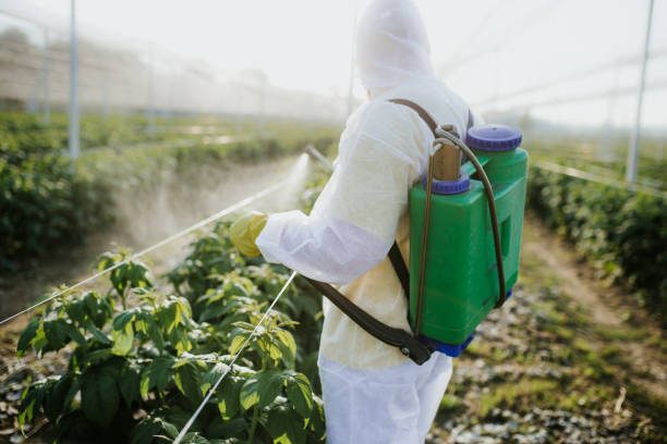 Best Affordable Pest Control Services  in White Hall, WV
